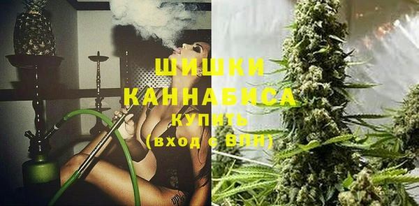 гашик Горняк