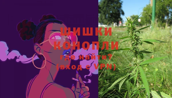 дживик Гусь-Хрустальный