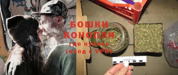дживик Гусь-Хрустальный