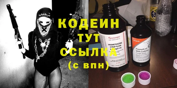 дживик Гусь-Хрустальный