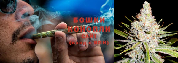каннабис Гусев
