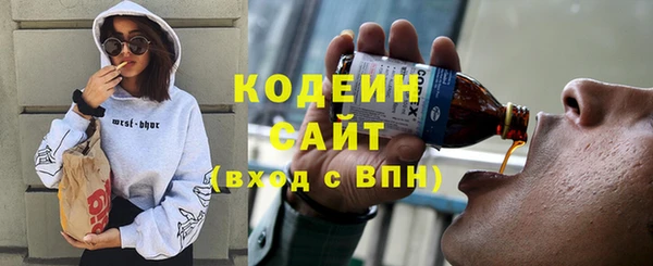 дживик Гусь-Хрустальный