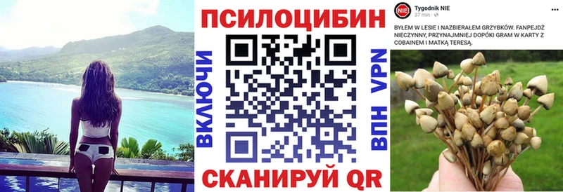 мега рабочий сайт  Дивногорск  Псилоцибиновые грибы ЛСД 