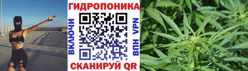 Марихуана план  даркнет сайт  Дивногорск 